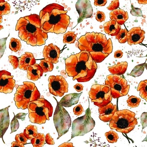 Poppin' Remembrance Poppies, White Background