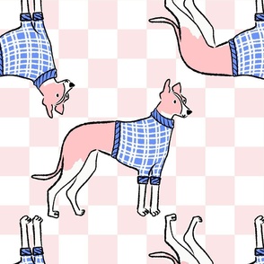 Large - Greyhound with blue sweater on pink and white checkerboard - English Greyhound - racing dog - hunting dog - Pets Dogs - dog check