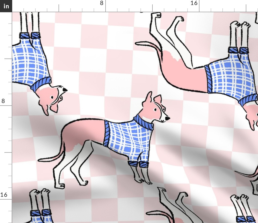 Large - Greyhound with blue sweater on pink and white checkerboard - English Greyhound - racing dog - hunting dog - Pets Dogs - dog check