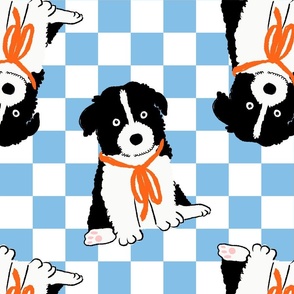 Large - Border Collie puppy on light blue and white checkerboard - Pets Dogs - dog check