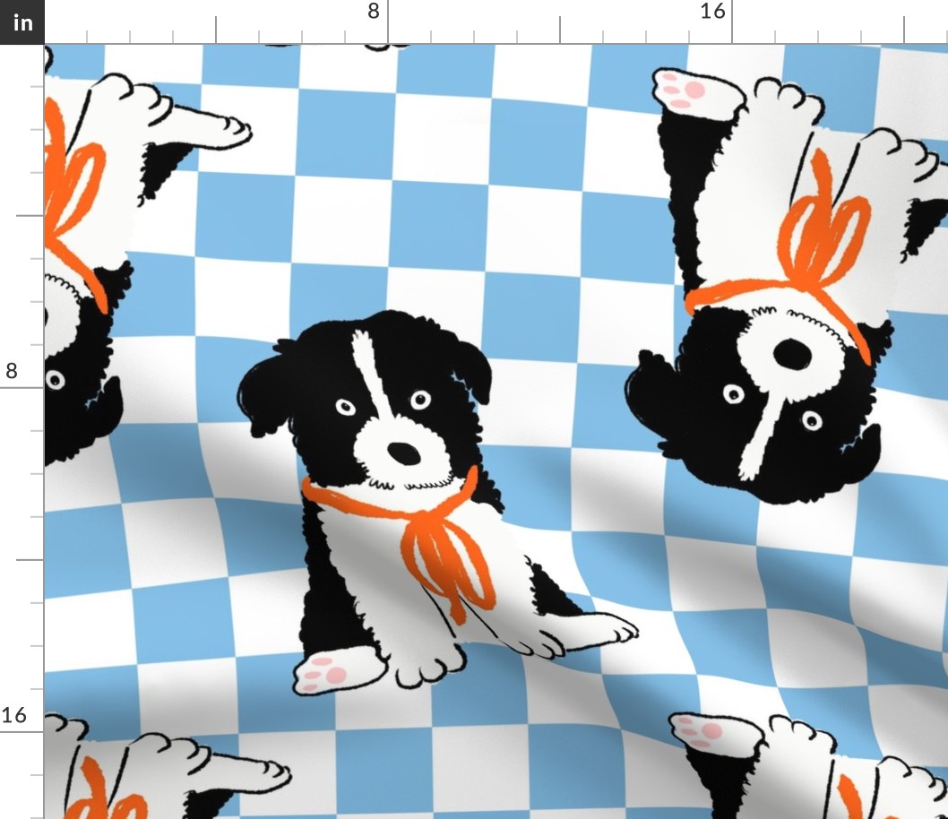 Large - Border Collie puppy on light blue and white checkerboard - Pets Dogs - dog check