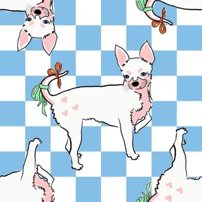 Large - Cute Chihuahua with bows on light blue and white checkerboard - Pets Dogs - dog check