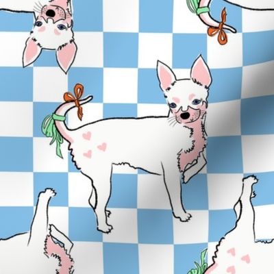 Medium - Cute Chihuahua with bows on light blue and white checkerboard - Pets Dogs - dog check