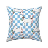 Medium - Cute Chihuahua with bows on light blue and white checkerboard - Pets Dogs - dog check