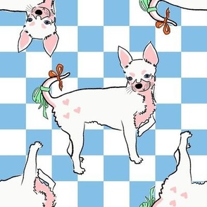 Medium - Cute Chihuahua with bows on light blue and white checkerboard - Pets Dogs - dog check
