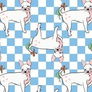 Small - Cute Chihuahua with bows on light blue and white checkerboard - Pets Dogs - dog check