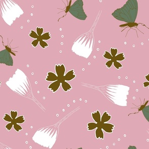 Pretty pink butterfly florals