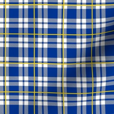 Smaller Scale Team Spirit Football Plaid in Los Angeles Rams Royal Blue and Yellow
