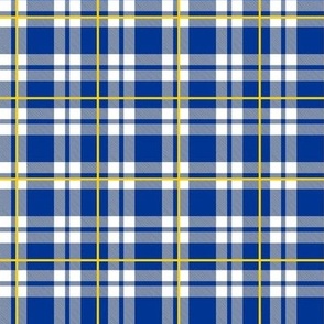 Smaller Scale Team Spirit Football Plaid in Los Angeles Rams Royal Blue and Yellow