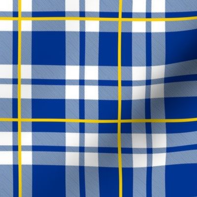 Bigger Scale Team Spirit Football Plaid in Los Angeles Rams Royal Blue and Yellow