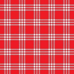 Red Plaid | Red Check