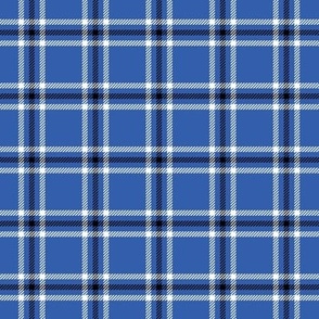 Modern Blue Plaid | Blue Check