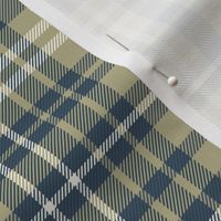 Gender Neutral Green Plaid | Blue & Green Check