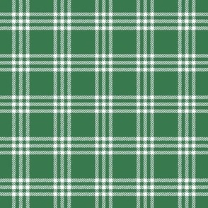 Modern Green Plaid | Green Check