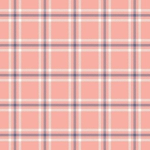 Girly Pastel Pink Plaid | Pink Check