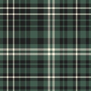 Simple Dark Green Plaid | Green Check