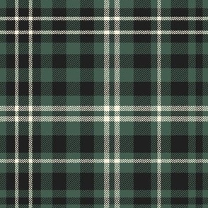 Modern Green Plaid | Classic Green Check