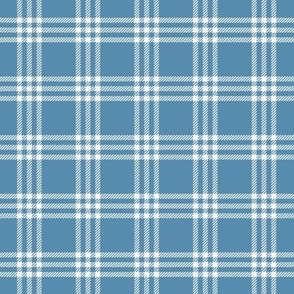 Cute Light Blue Plaid | Gender Neutral Blue Check