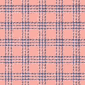 Cute Pink and Blue Plaid