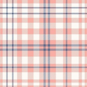 Cute Girly Pink and Blue Plaid Check