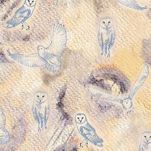 Soothing snowy owls above wintery landscape_ 2-3in owls