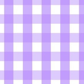 Gingham #25