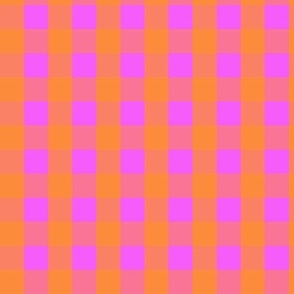 Gingham #24