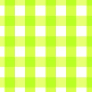 Gingham #14