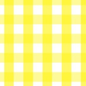 Gingham #7