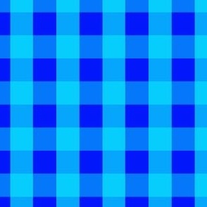 Gingham #43