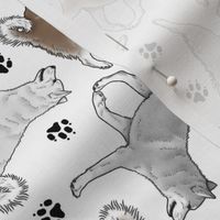 Trotting Alaskan Klee Kai and paw prints - white