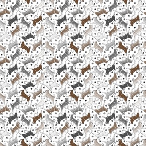 Tiny Trotting Alaskan Klee Kai and paw prints - white