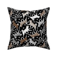 Trotting Alaskan Klee Kai and paw prints - black