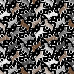 Trotting Alaskan Klee Kai and paw prints - black