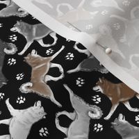 Tiny Trotting Alaskan Klee Kai and paw prints - black