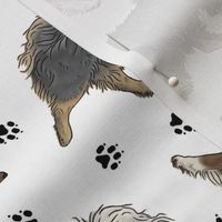 Trotting Finnish Lapphund and paw prints - white