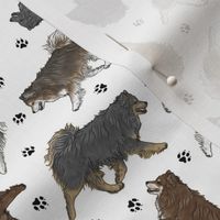 Tiny Trotting Finnish Lapphund and paw prints - white