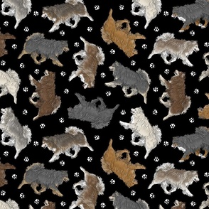 Trotting Finnish Lapphund and paw prints - black