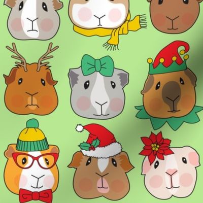 Christmas guinea pig faces