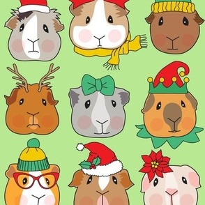 Christmas guinea pig faces