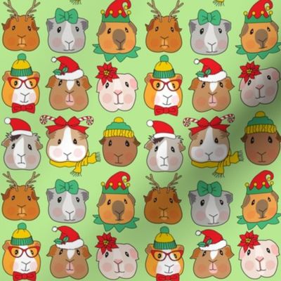 tiny Christmas guinea pig faces