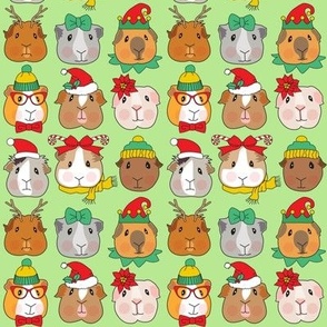 tiny Christmas guinea pig faces