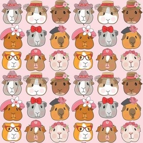 tiny Valentine guinea pig faces