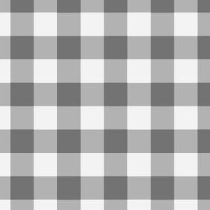 Gingham #13