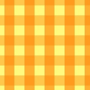 Gingham #1