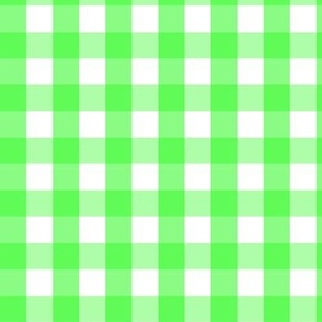 Gingham #8