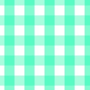 Gingham #9