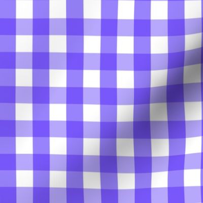 Gingham #10