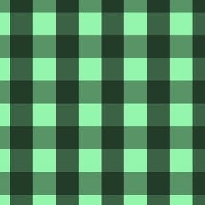 Gingham #11