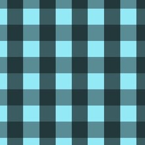 Gingham #12